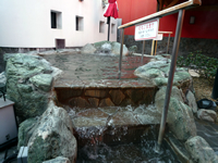 ʤΤդ줿ϲʤ