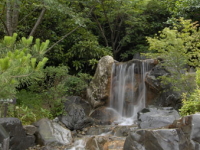 流れ落ちる滝を望む「滝の湯」