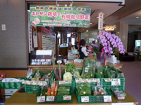 キトサン有機栽培野菜市は週2回
